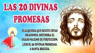 LAS 20 DIVINAS PROMESAS (DE JESUS A SANTA BRIGIDA)