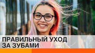 Что дешевле: профилактика или лечение зубов — ICTV