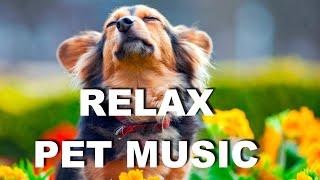 Лучшая расслабляющая музыка для собак  Для сна