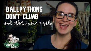 BALLPYTHONS DON'T CLIMB AND OTHER SNAKE MYTHS