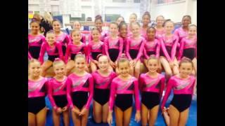 Meet Team Central 2015-16 USAG Xcel Girl's Team