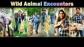 Close Wild Animal Encounters...