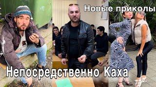 Непосредственно Каха: новые приколы #непосредственнокаха