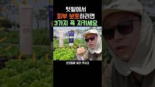 여름철 텃밭에서 자외선 피하고, 피부관리하는 3가지 방법 꼭 지키세요 #피부관리