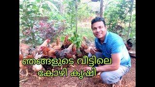 Chicken farm at home / Poultry Farm /How to rear chickens at home