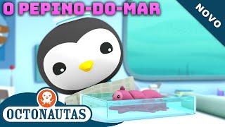 Octonautas - O Pepino-do-Mar | Episódio inteiro 7 | Primeira Temporada