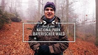 Bavaria Insider & Ranger Siggi Schreib: Virtual tour through the Bavarian Forest | Bavaria Travel