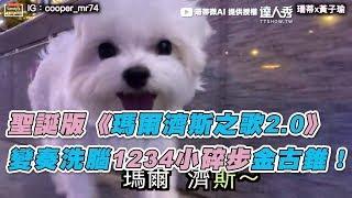 【聖誕版《瑪爾濟斯之歌2.0》 變奏洗腦1234小碎步金古錐！】｜珊蒂微AI