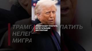 Трамп готов откупаться от нелегальных мигрантов! #трамп #сша #политика #новости #нелегалы #мигранты