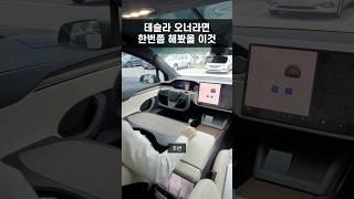 [100만뷰] 테슬라 오너라면 한 번쯤 해봤을 ‘이것‘