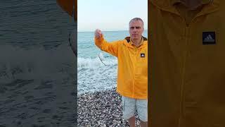 Рыбалка в Турции с берега. #shorts #рыбалка #fishing #travel Рыбалка в Турции Кемер с берега #fish