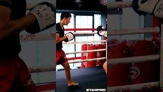 Pad Work - C20 Boxing Gloves & C20 Focus Mitts - Starpro