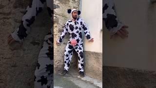 Wenn die Kuh abhaut #comedy #südtirol #lustig #humor #dorfleben #landwirtschaft #bauern