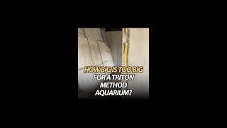 How big is too big for a TRITON Method Aquarium?