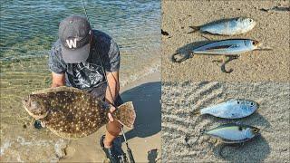 PB Fluke on a CRANKBAIT - Matching the Hatch - Flounder Fishing from Shore