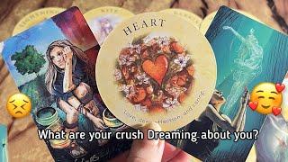 What are your crush dreaming about you?‍️‍‍ Hindi tarot card readingCrush current feelings