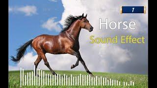 Horse Sound Effect