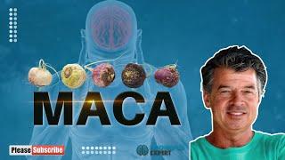 Maca