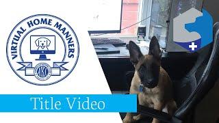 Kenobi's Virtual Home Manners AKC Family Dog Title Test Video