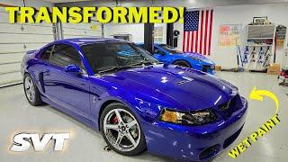 Is It Even The Same Car? INSANE Paint Correction TRANSFORMATION On My 2003 SVT Cobra!!