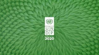 UNDP's 2020 Annual Report