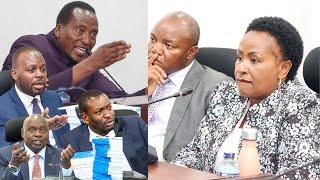 "WE ARE NOT HERE TO JOKE!" WAVINYA NDETI FACES THE WRATH OF ANGRY SENATORS AS SHE FACES SENATE TEAM