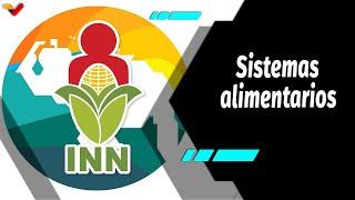 Al Aire | Instituto Nacional de Nutrición avanza en la transformación de los sistemas alimentarios