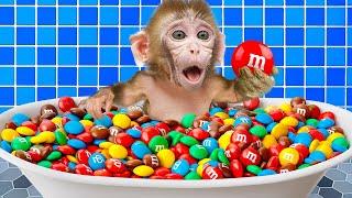 DoKi Monkey goes to bath Rainbow BathTub full of M&M Candy and ASMR Chocolate Candy | DoKi Monkey