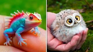 Cutest Baby Animals You Can Legally Own