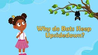 Why do Bats Sleep Upsidedown? | Animal Facts for Kids |Bat Facts for Kids | Fun Facts for Kids |Bats