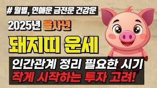 2025년 을사년 돼지띠 운세 재물운 건강운 학업운 월별 운세까지!!