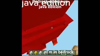 Java vs bedrock #minecraft #funny #minecraftfunny #void #bedrockedition #vs #javaedition