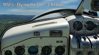 MSFS - Flying the DHC-2 Beaver