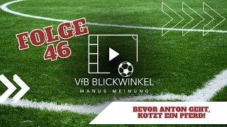 BEVOR ANTON GEHT, KOTZT EIN PFERD! | VfB Blickwinkel