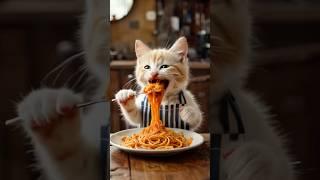 The Meowster Chef EP 1 - Make simple tomato pasta! #cat #shortsfeed #cooking #catcooking #pasta
