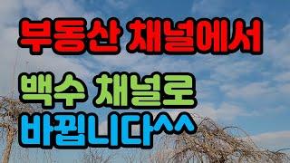 17년차 부동산중개업자의 리얼라이프를 보여 드립니다.