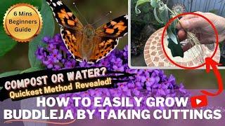 FAST BUDDLEJA Propagation MADE EASY: How to Multiply Your BUTTERFLY BUSH for a FLOURISHING GARDEN!