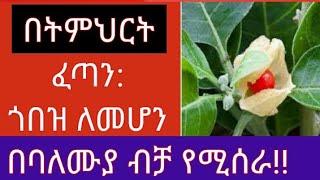 260.በትምህርት ጎበዝ ለመሆን!! በባለሙያ ብቻ የሚሰራ!!