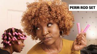 Perm Rod on Blown Out Hair | Natural Hair