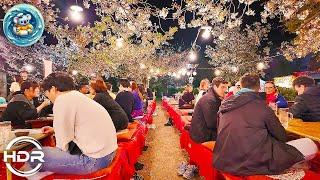 [ Travel Japan ] Beer garden in Kyoto of flowers at night. #walking_tour