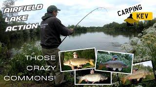 AIRFIELD LAKE ACTION - THOSE CRAZY COMMONS! - Carp Syndicate Fishing in 2024 @carpingkev