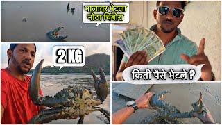 भालावर भेटला 2 किलो चा चिंबोरा | Big Mud Crab | एक चिंबोऱ्याचे किती पैसे भेटले?  | Monster  Crab