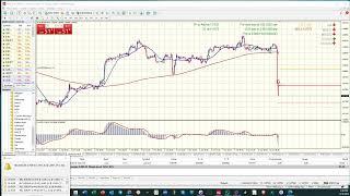 Paresh on PipsPredator for Trading EURUSD & Showing how powerful Pips is