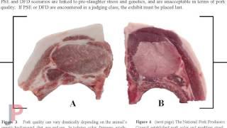 Pork Carcass Evaluation Manual Video