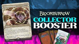 Opening Bloomburrow Collector Booster - Magic The Gathering 2024