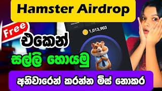 Earning E money For sinhala | HaMster Kombat Bot | E Money Sinhala