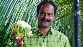 കോളിഫ്ലവർ കൊണ്ട് ചപ്പാത്തിക്കും ചോറിനും ഒരു കിടിലൻ കറി ഉണ്ടാക്കാം | Cauliflower Curry | Keralastyle