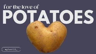 For the love of potatoes  part 2