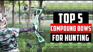 Best Compound Bows For Hunting | Top 5 Best Hunting Bow 2025