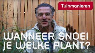 Wanneer snoei je welke planten? | Tuinmanieren